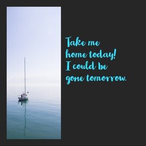 Like what you see? Buy it today!